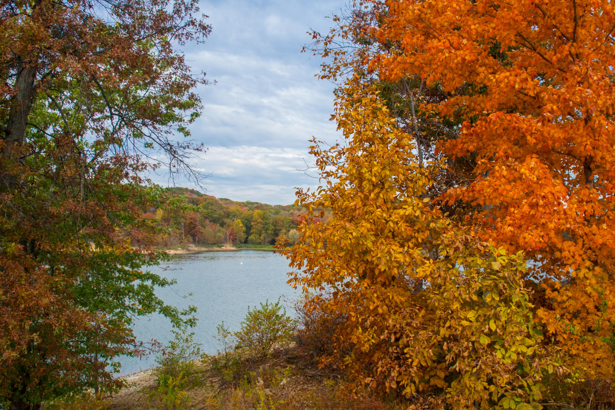 Top 10 Places to See Fall Foliage in Bloomington, Indiana
