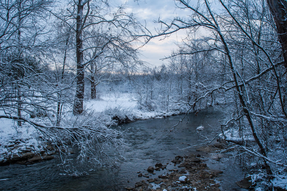 Bloomington Through The Seasons Winter