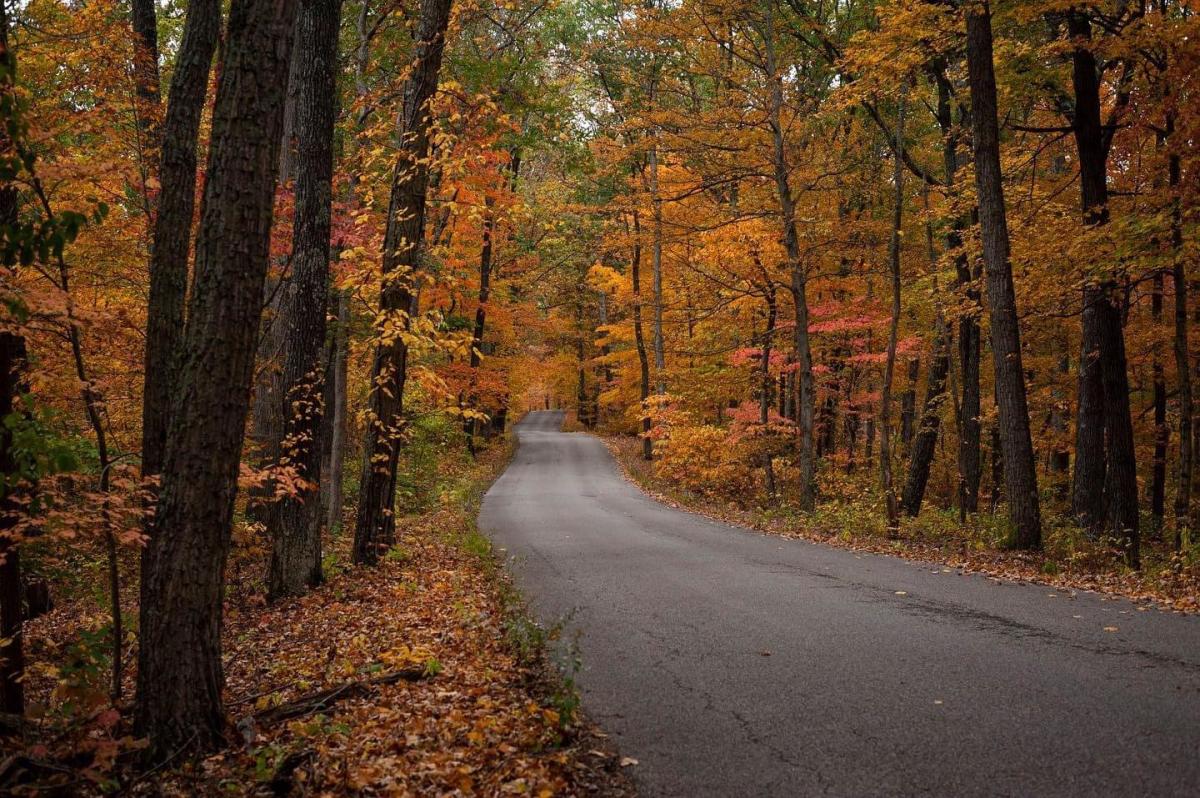Fall Getaway to Bloomington, Indiana | Get the Local Experience