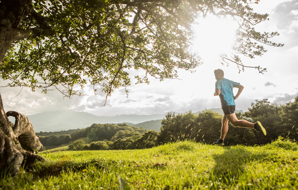 Roan Mountain & the Appalachian Trail