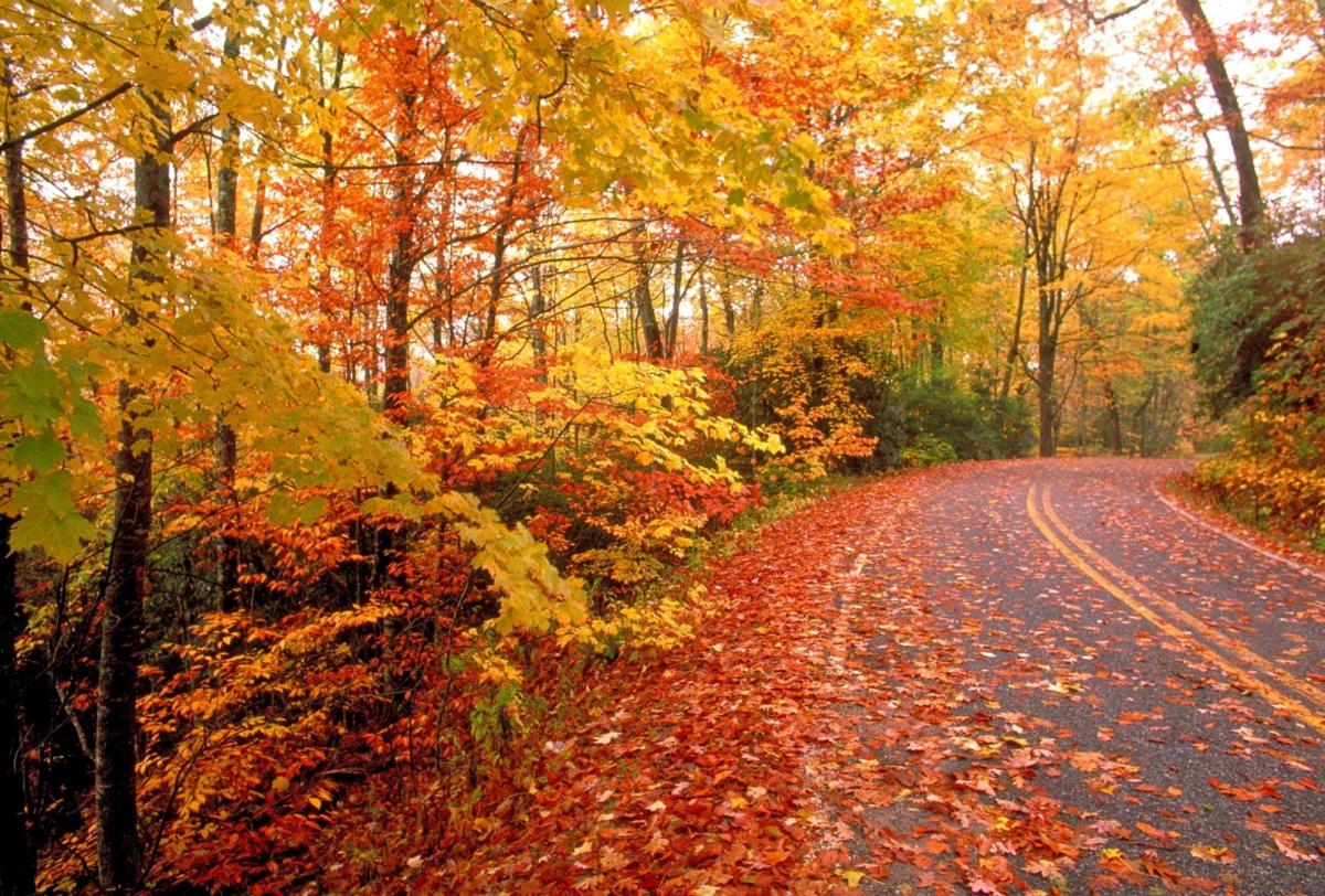 5 Scenic Drives in the Boone Area for Fall