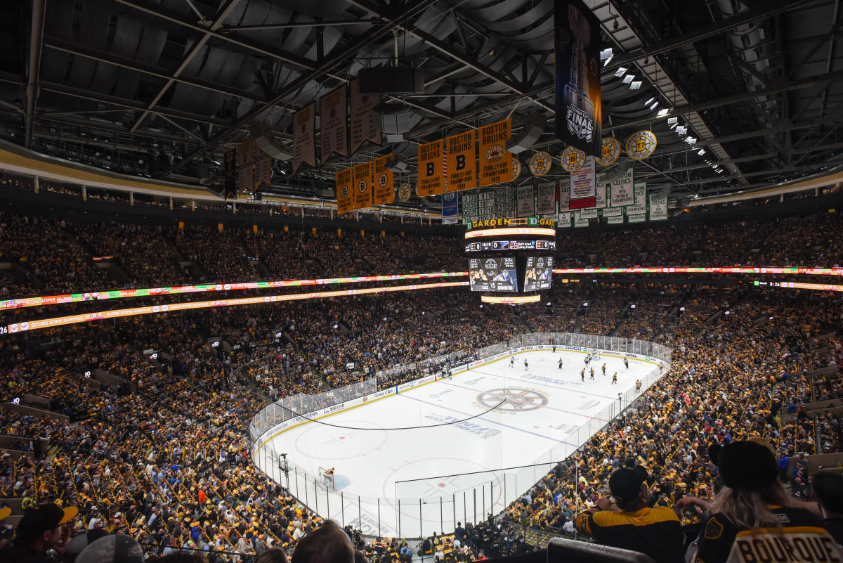 Witness Boston Bruins Stanley Cup Final fan costume party