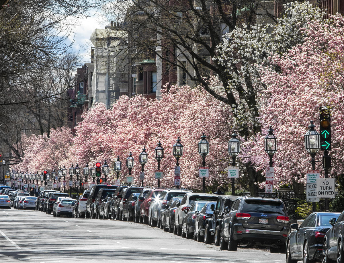 Top 10 Things to do This Spring in Boston