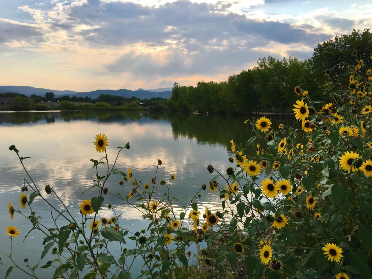 Hotels in Boulder's Gunbarrel Neighborhood