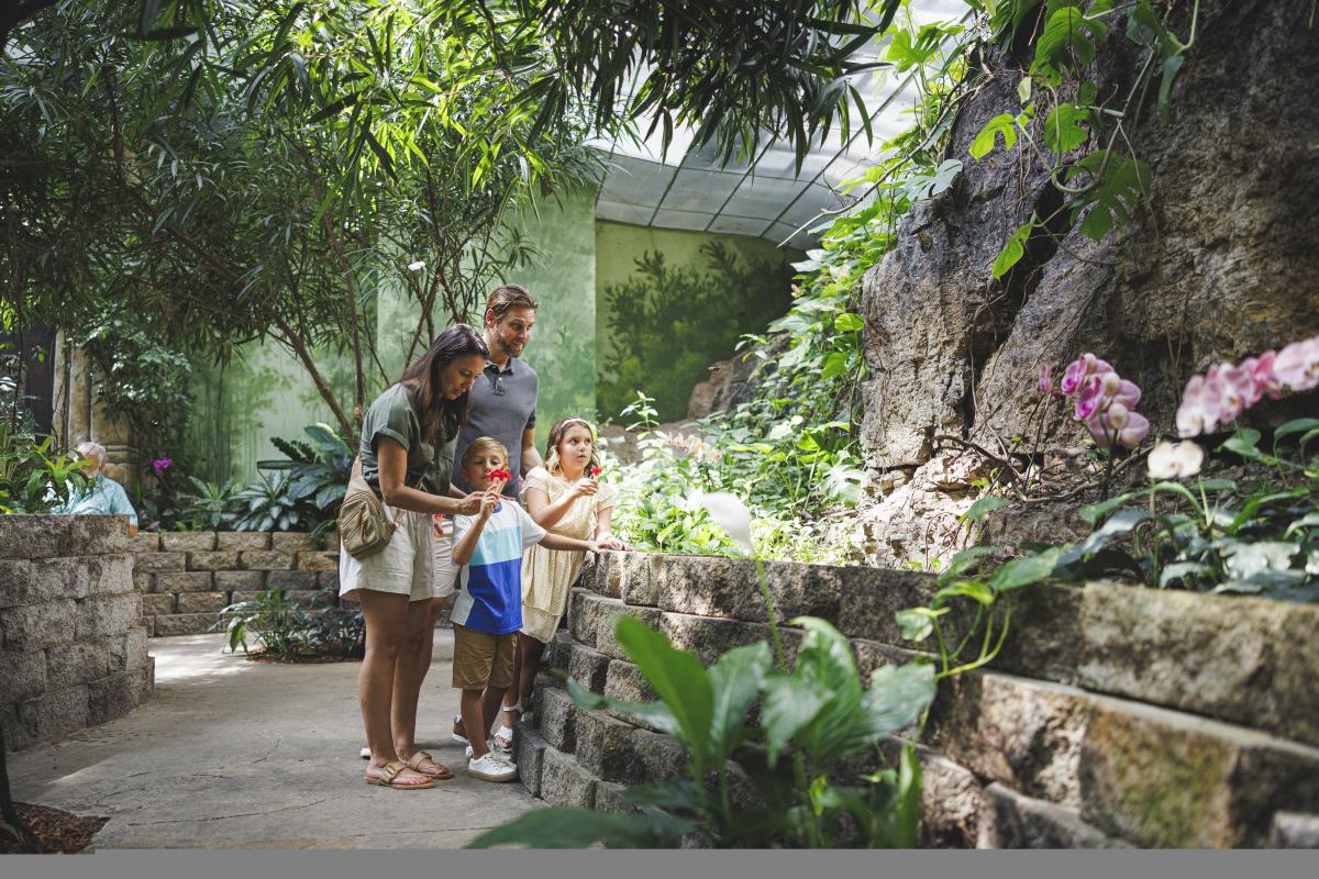 Family Vacation Ideas | Explore Branson