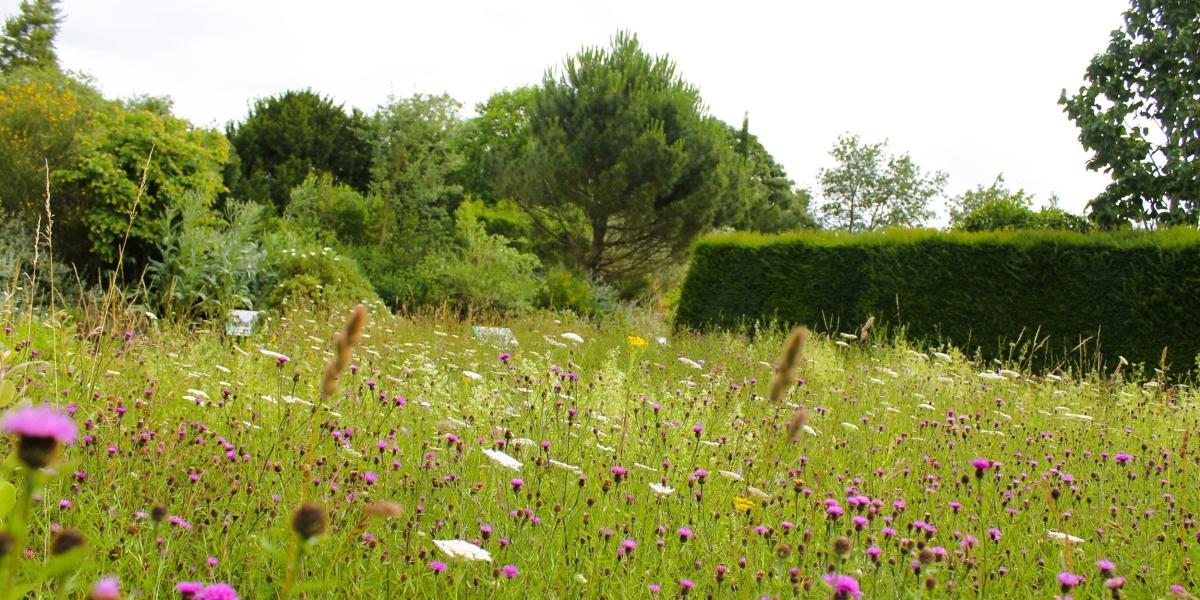 Top spring walks around Bristol - VisitBristol.co.uk