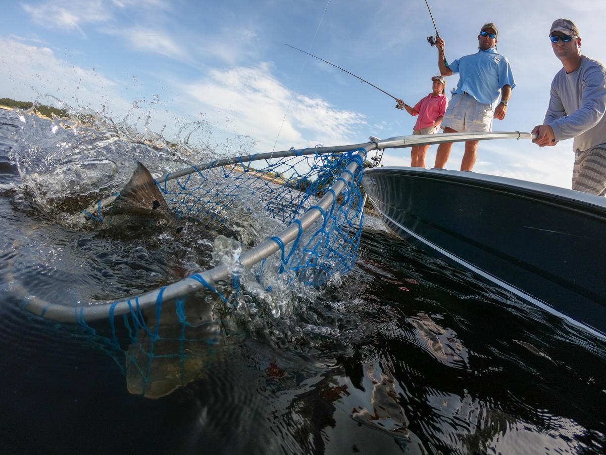 NC Pier & Surf Fishing, Fishing Charters and Boat Access | North Carolina  Brunswick Islands