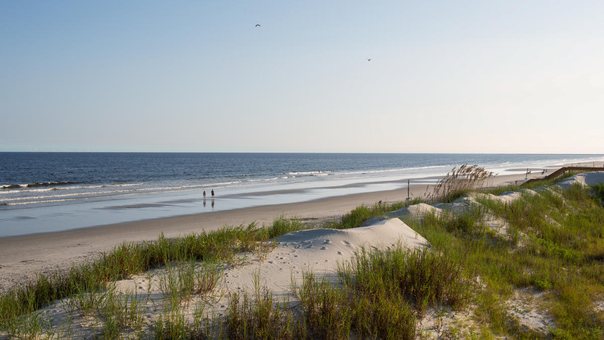 Sunset Beach, NC | Bird Island & Kindred Spirit Mailbox