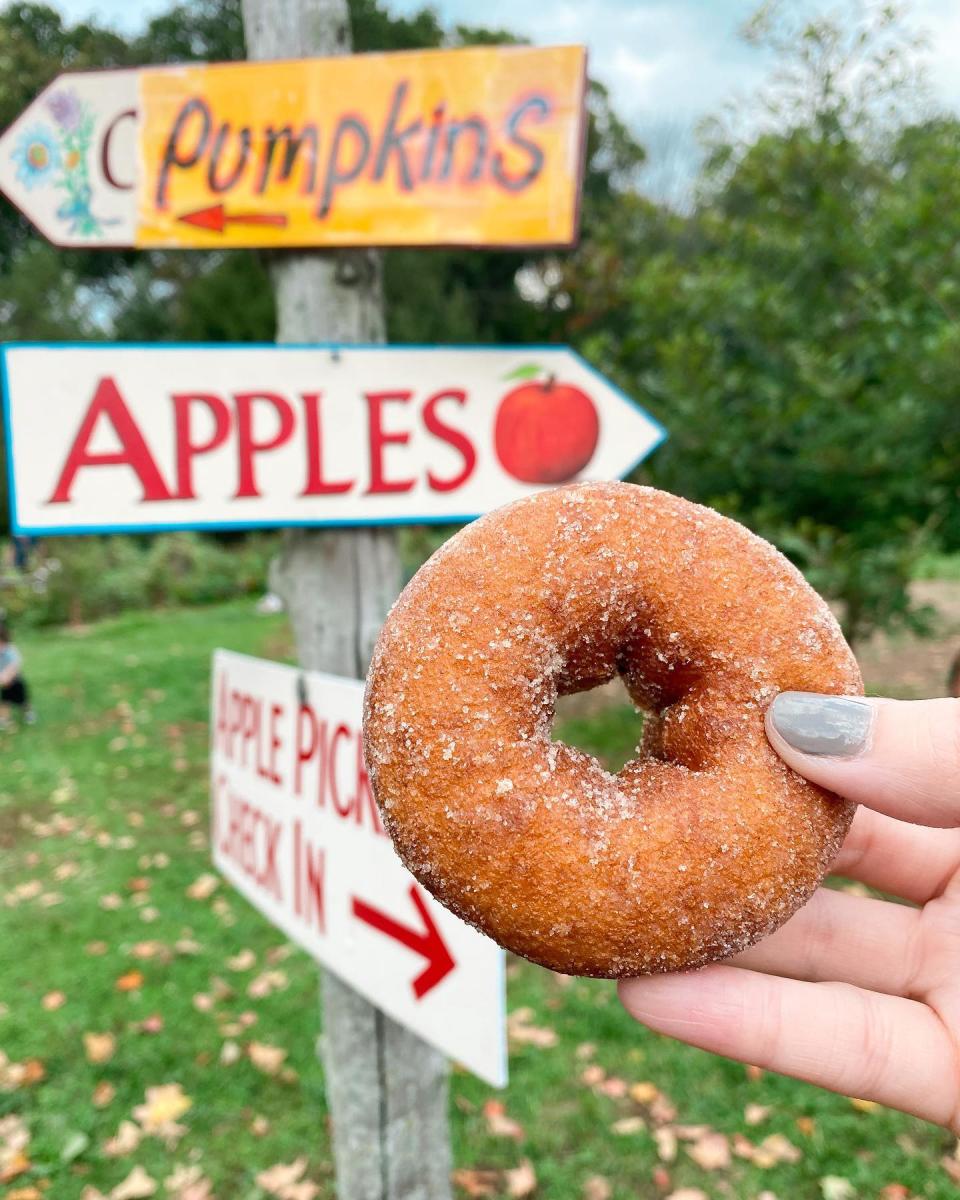 The Best Fall Food in Bucks County