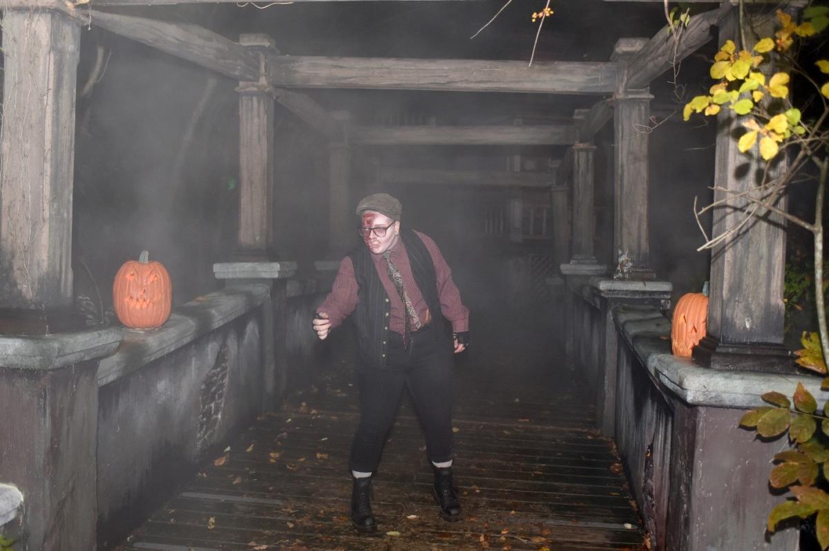 What’s Up This Weekend 15 Haunted Happenings, Fall Festivals and Ways