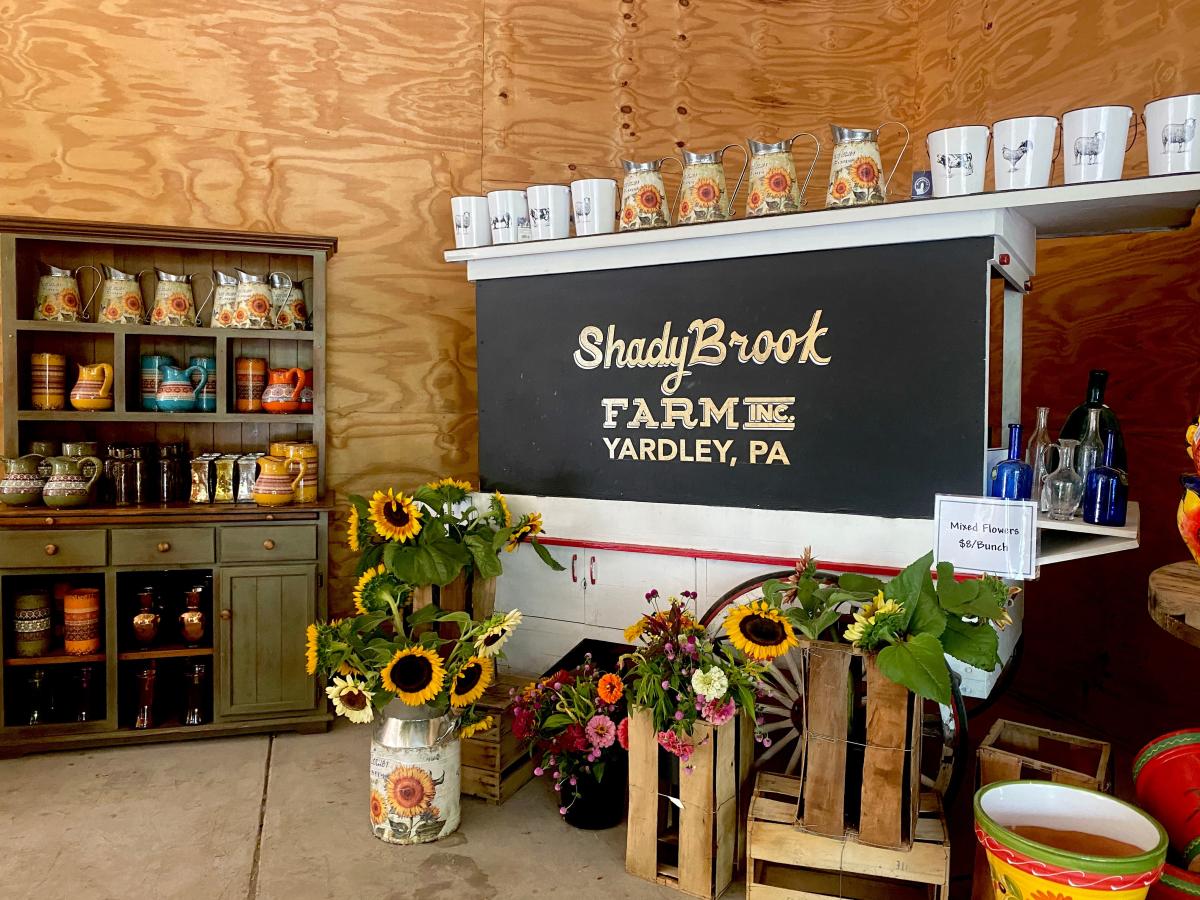 How to Spend a Fall Day at Shady Brook Farm