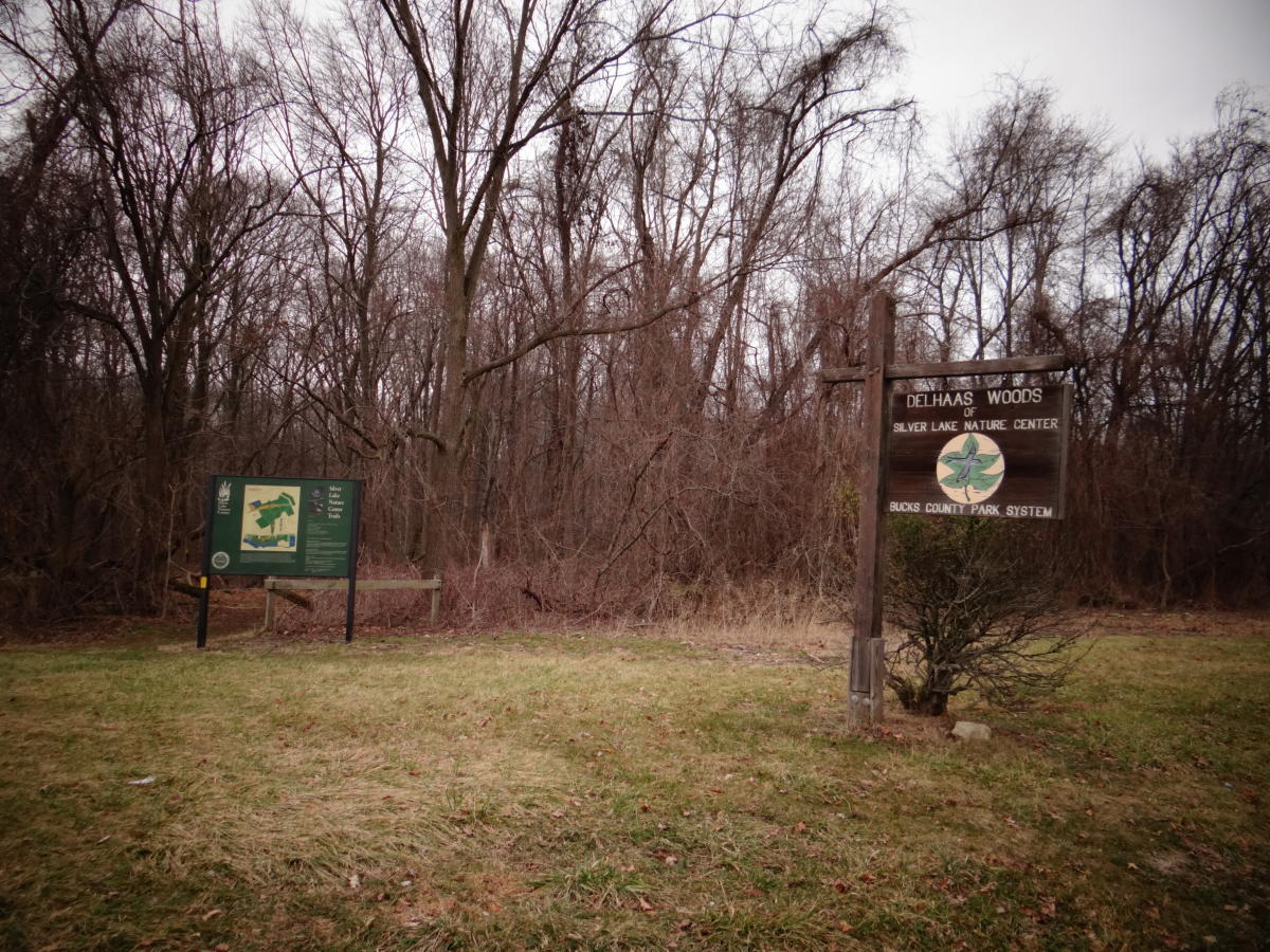 Exploring The Ruins Of The Delhaas Woods