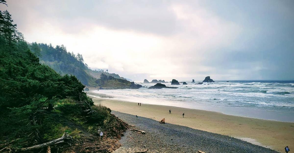 Hiking In Cannon Beach OR Trails Wildlife State Parks