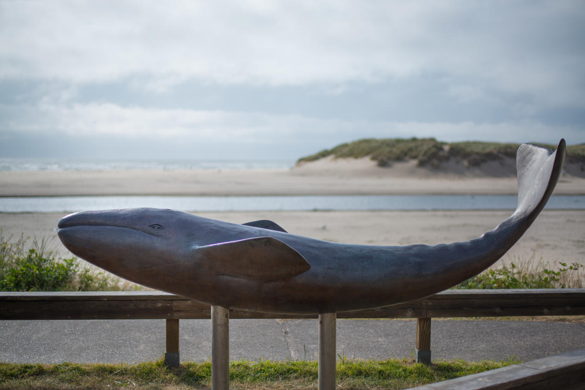 Free Things T Do - Cannon Beach