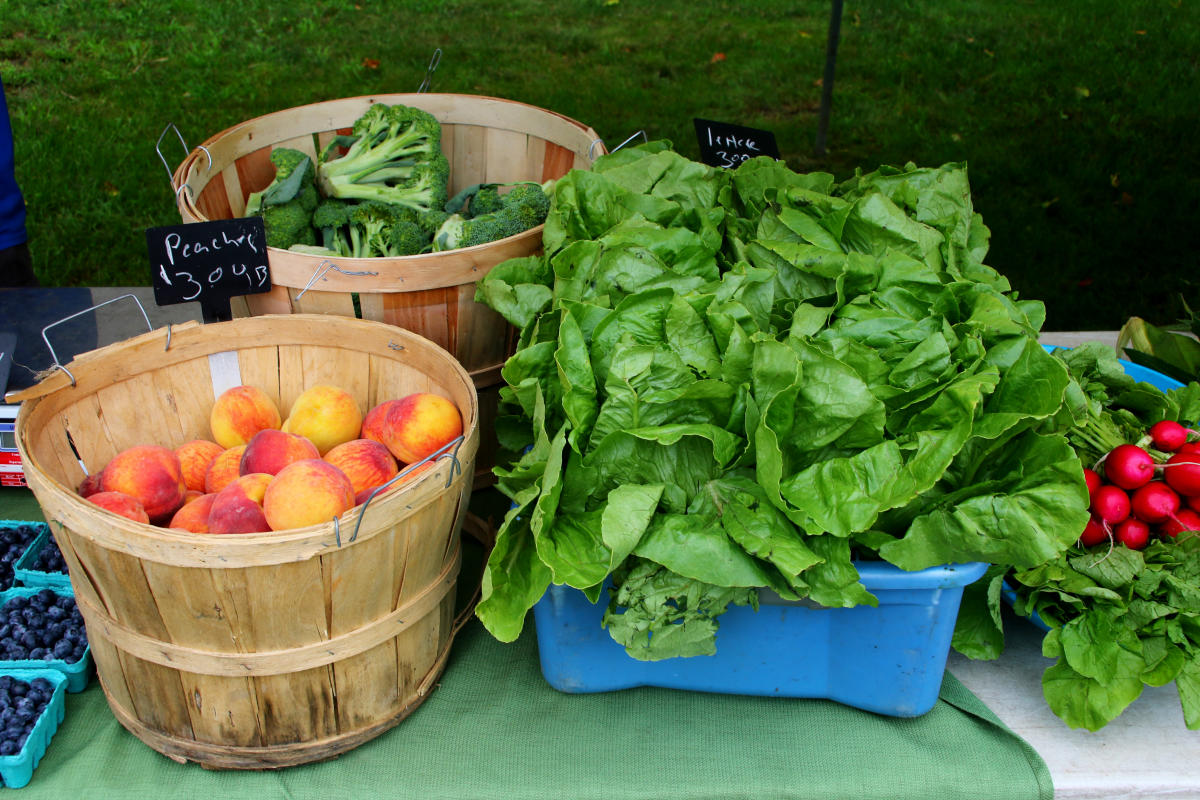 Cape Cod Farmers Markets 2025 Cristy Melicent