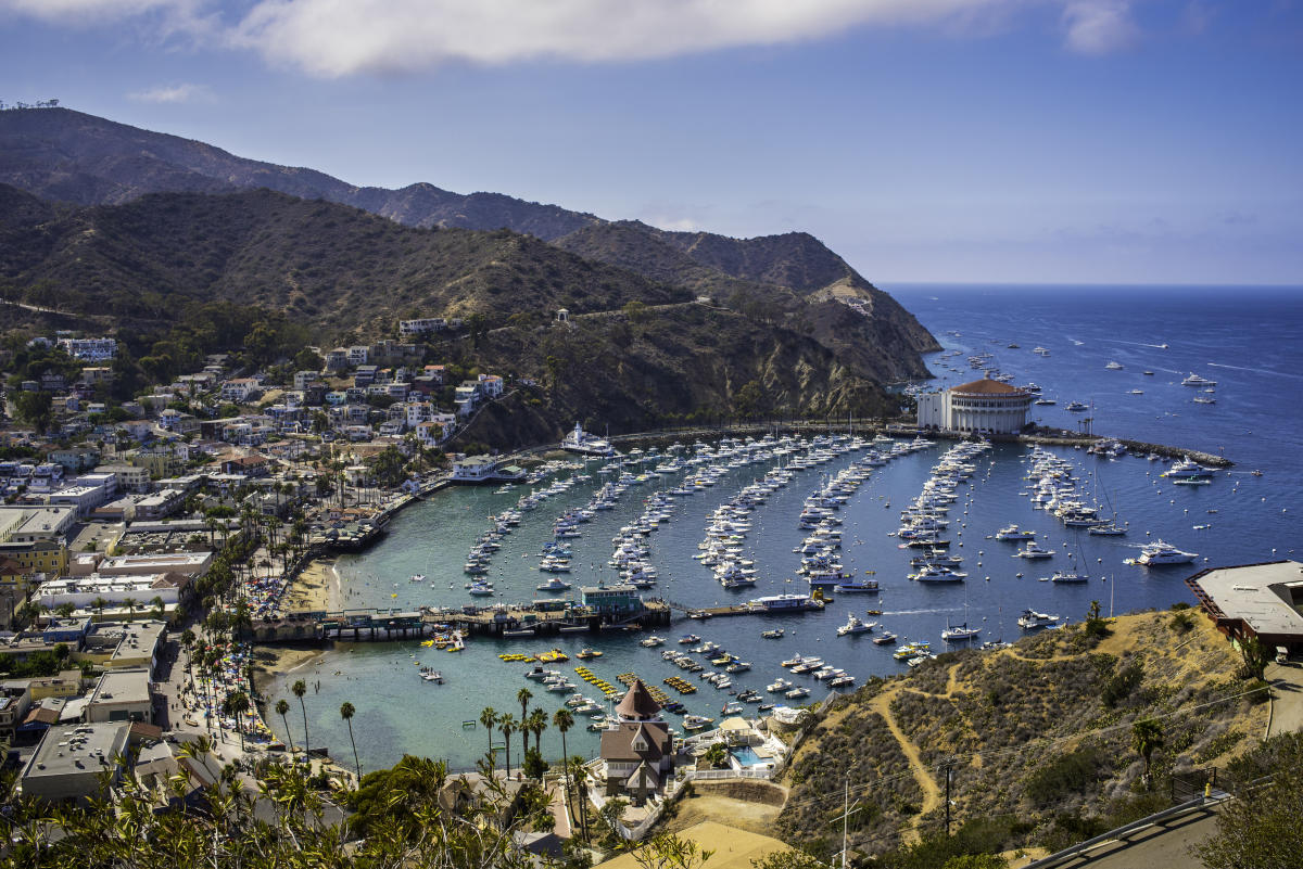 Download Contact the Santa Catalina Island Company | Visit Catalina ...