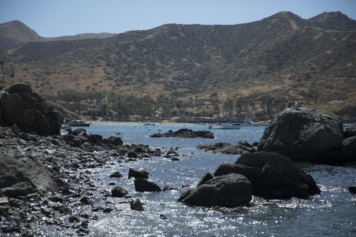 Two Harbors Land Amp Marine Services Visit Catalina Island