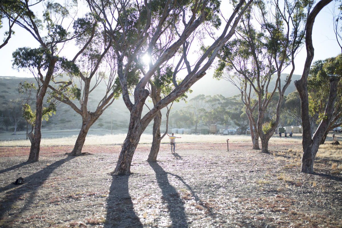 Disc Golf Courses on Catalina Island Two Harbors Locations