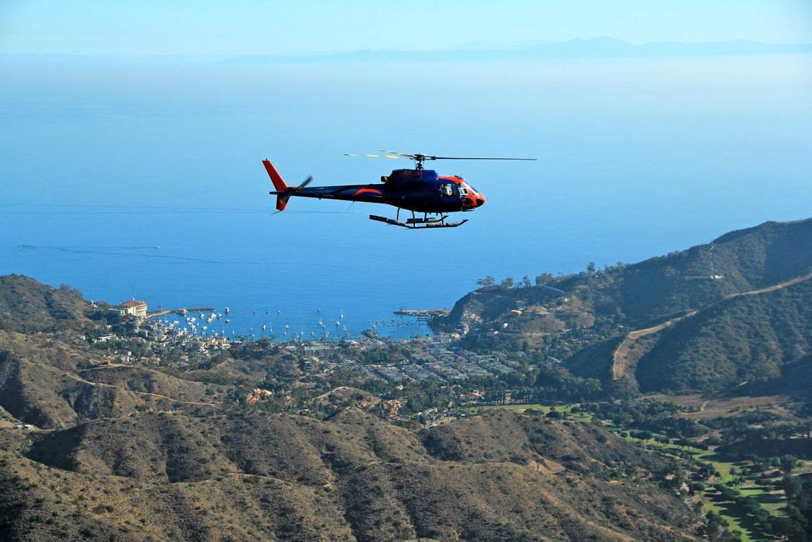 helicopter tour catalina island