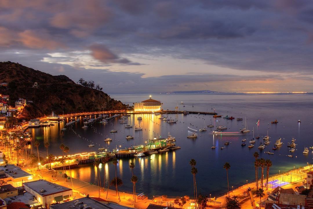 How to Get Answers to Questions About Catalina Island