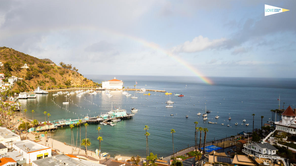 Weather Avalon Catalina Island: Why Your Phone's App Is Probably Lying to You
