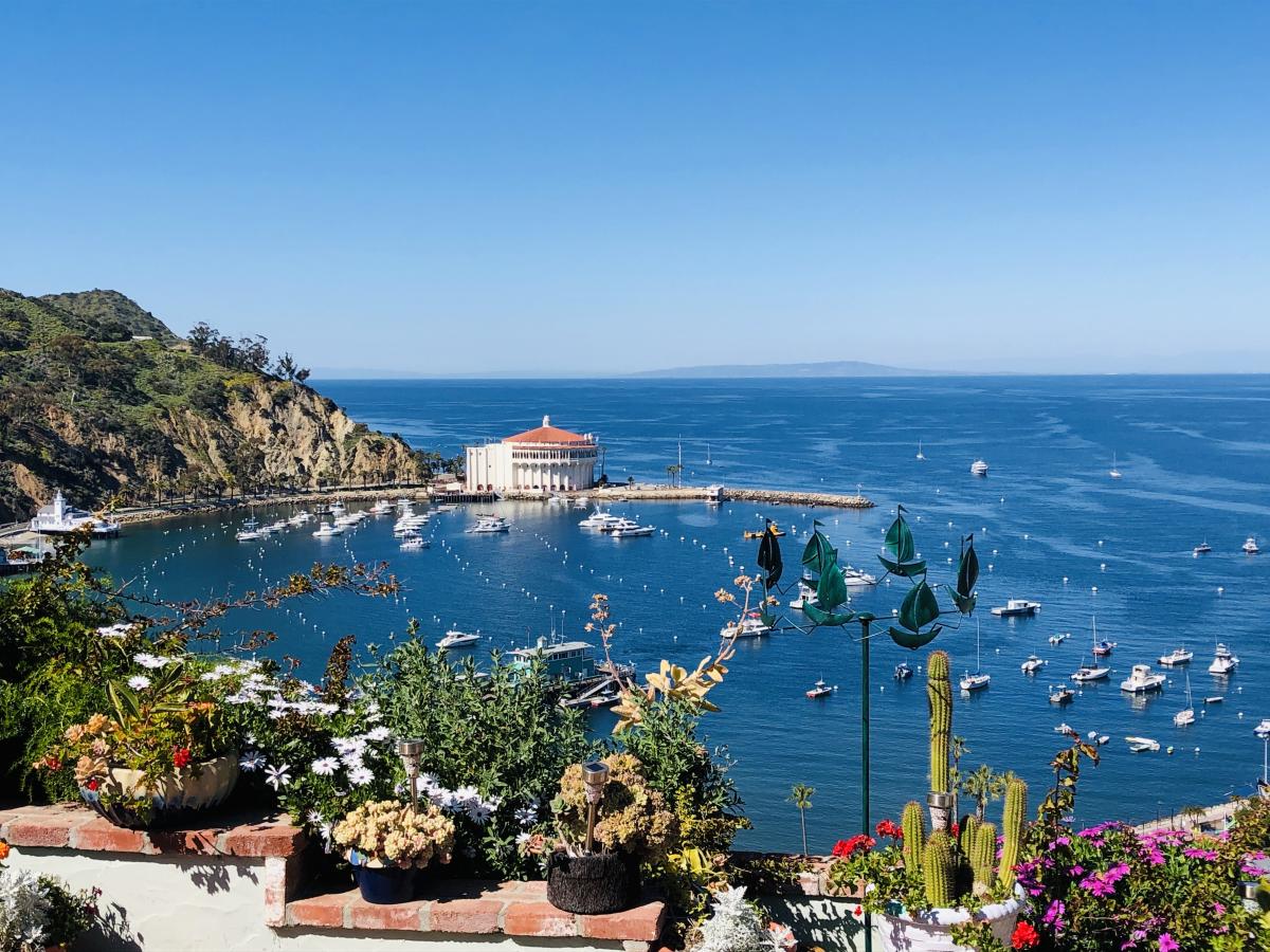 Download 15 Spots for the Perfect Catalina Island Instagram Post