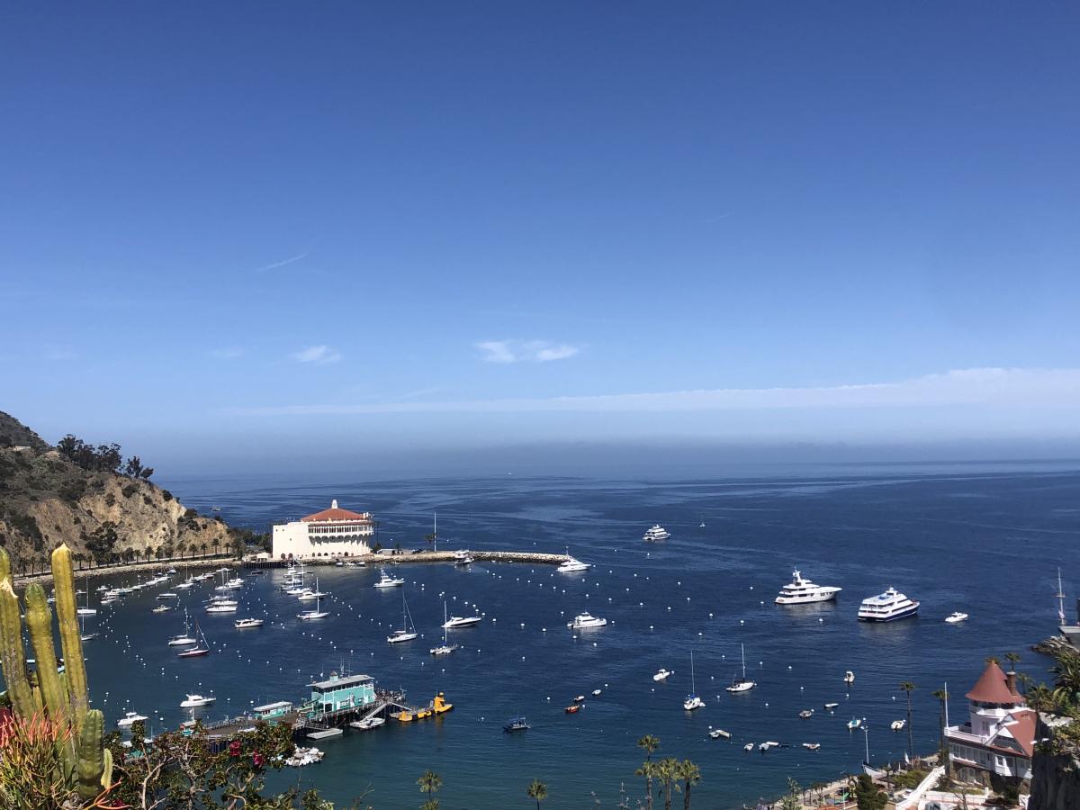 What’s New on Catalina Island Spring 2021