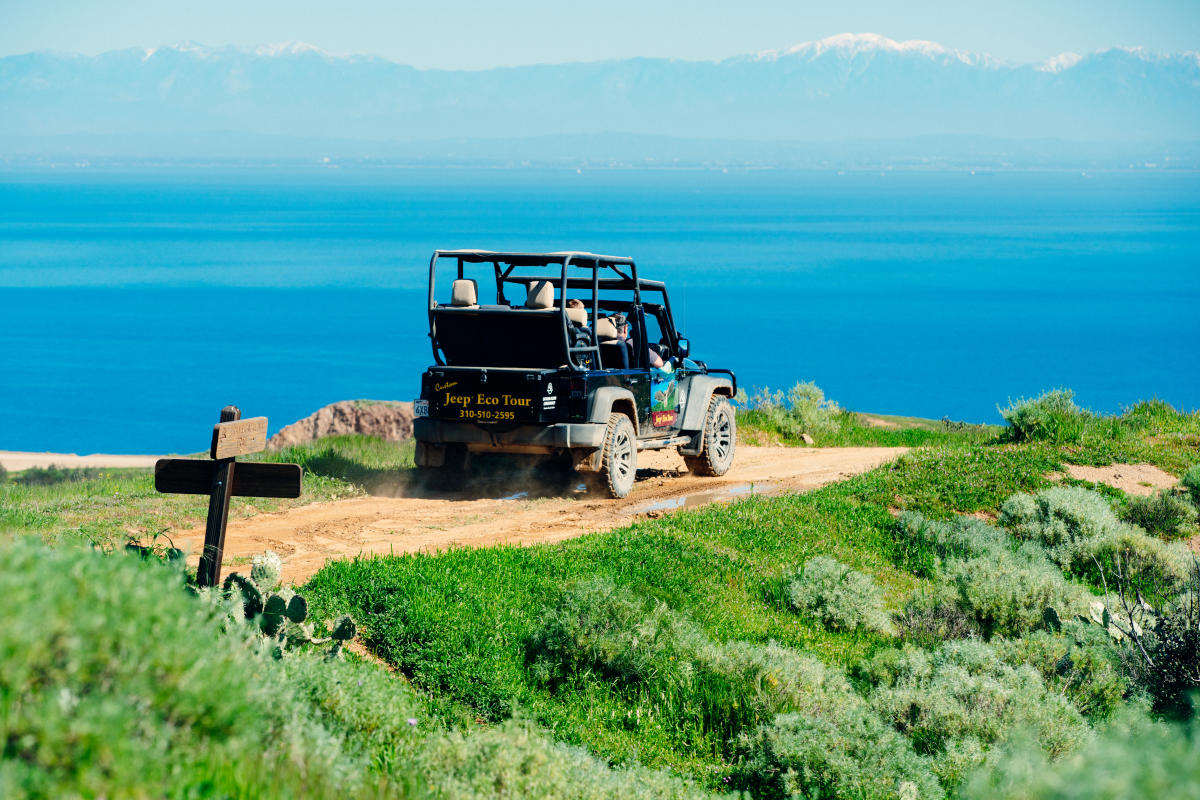 Group Tours & Activities | Team Building | Catalina Island