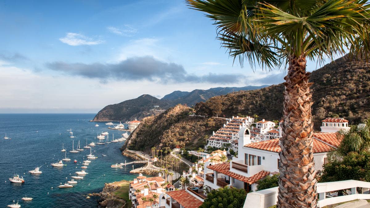 Santa Catalina the Californian island loved by Marilyn Monroe