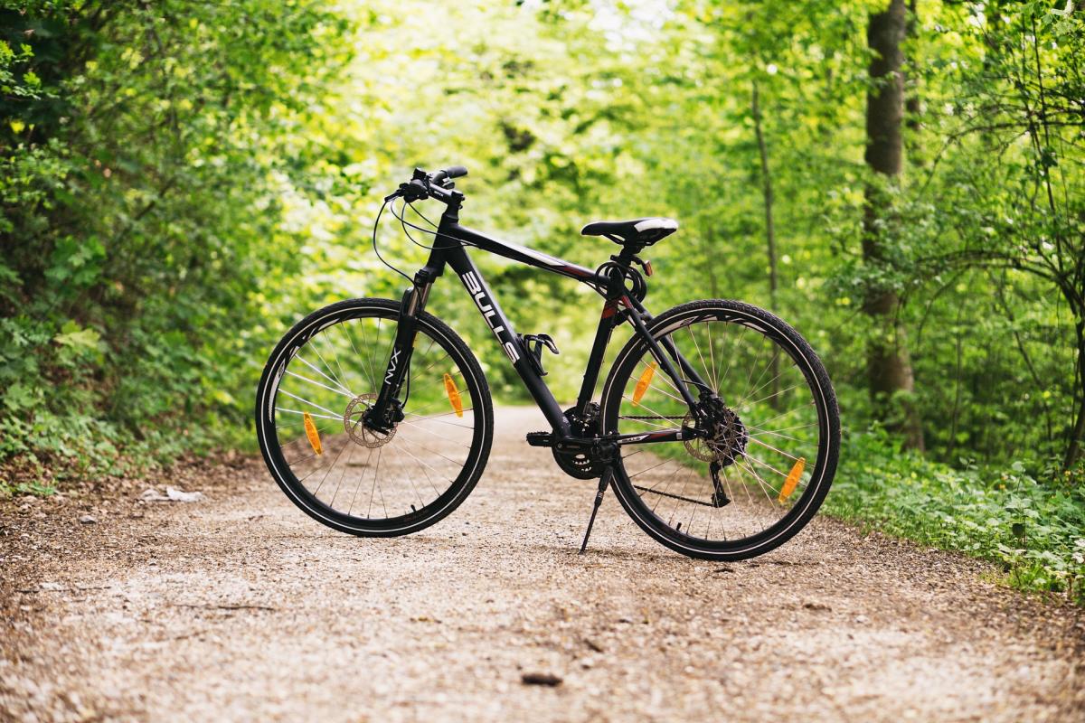 erie canal bike ride 2019