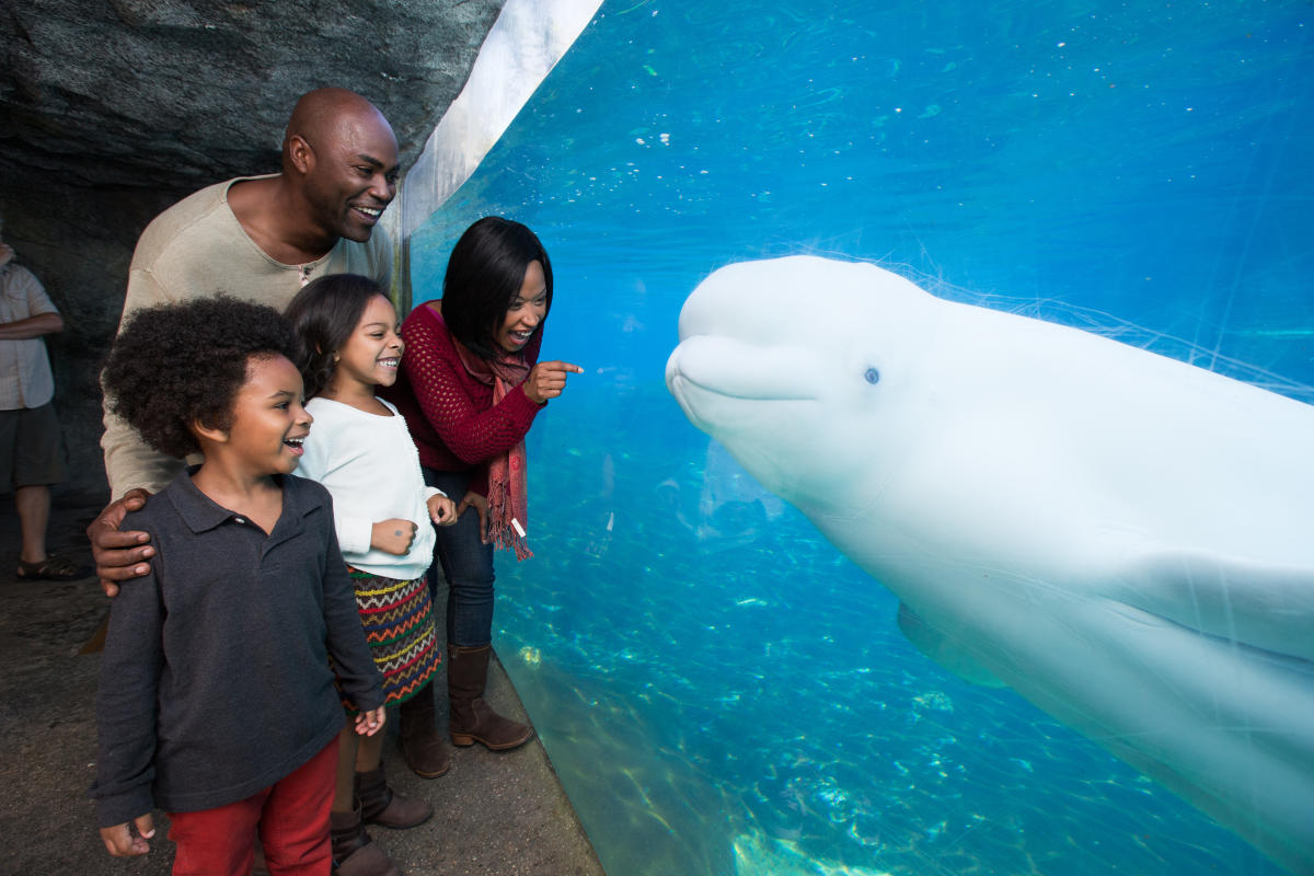 Things To Do - Connecticut Convention & Sports Bureau