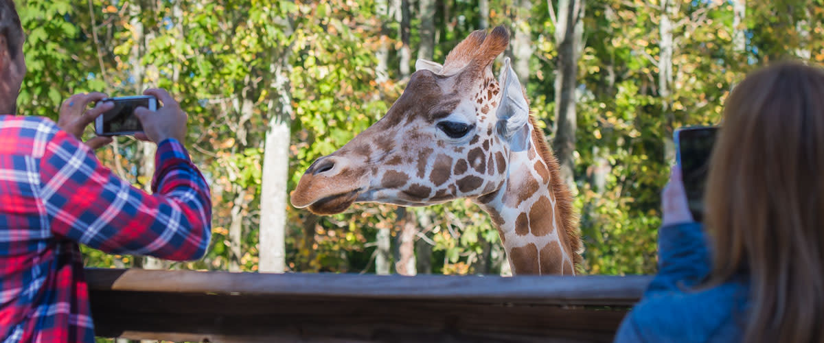 Attractions - Discover Central MA