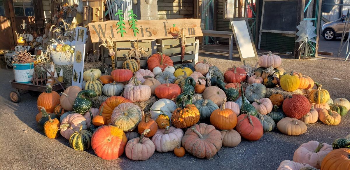 Stay Cozy with Fall Flavors in Chandler, AZ