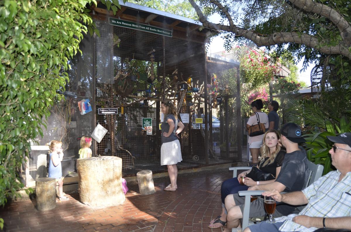 A Bird's Eye View of The Perch Brewery in Chandler, AZ