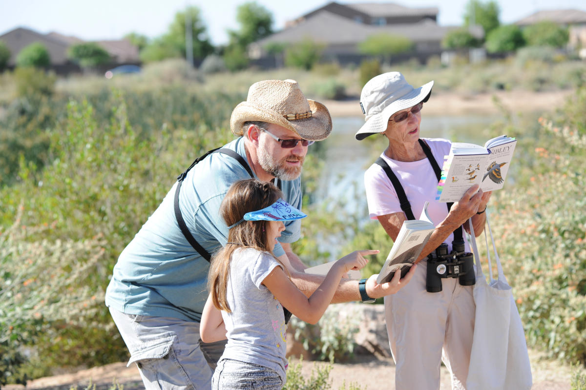 Things to Do in Chandler AZ | Attractions, Museums & Golf