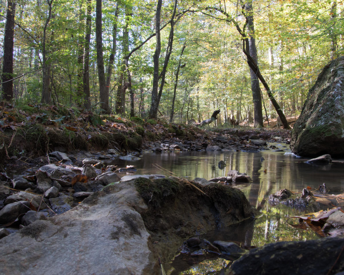 How To Explore Chapel Hill And Orange County In January