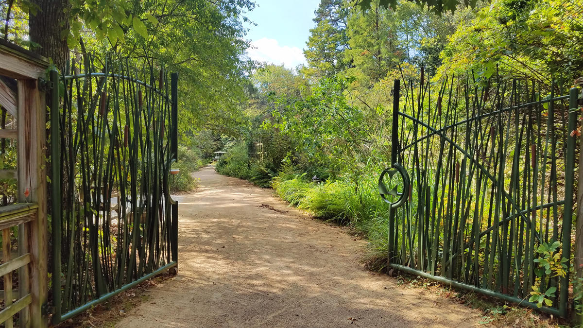 Must Sees | Chapel Hill and Orange County, NC