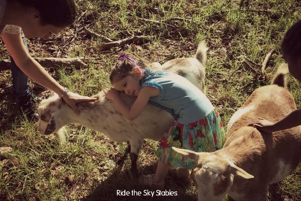 A Summer Camp Guide For Chapel Hill Orange County Visitors