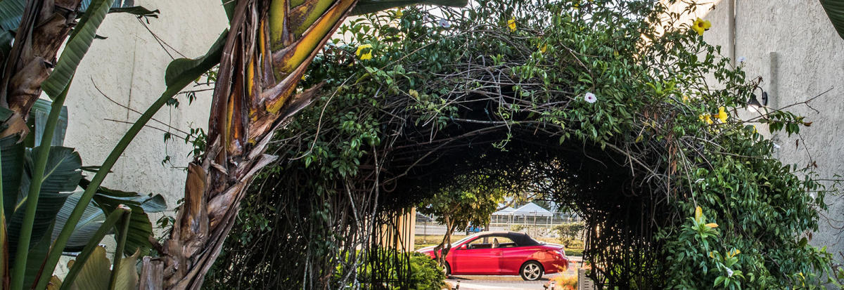 Downtown Amenities - Punta Gorda & Englewood Beach