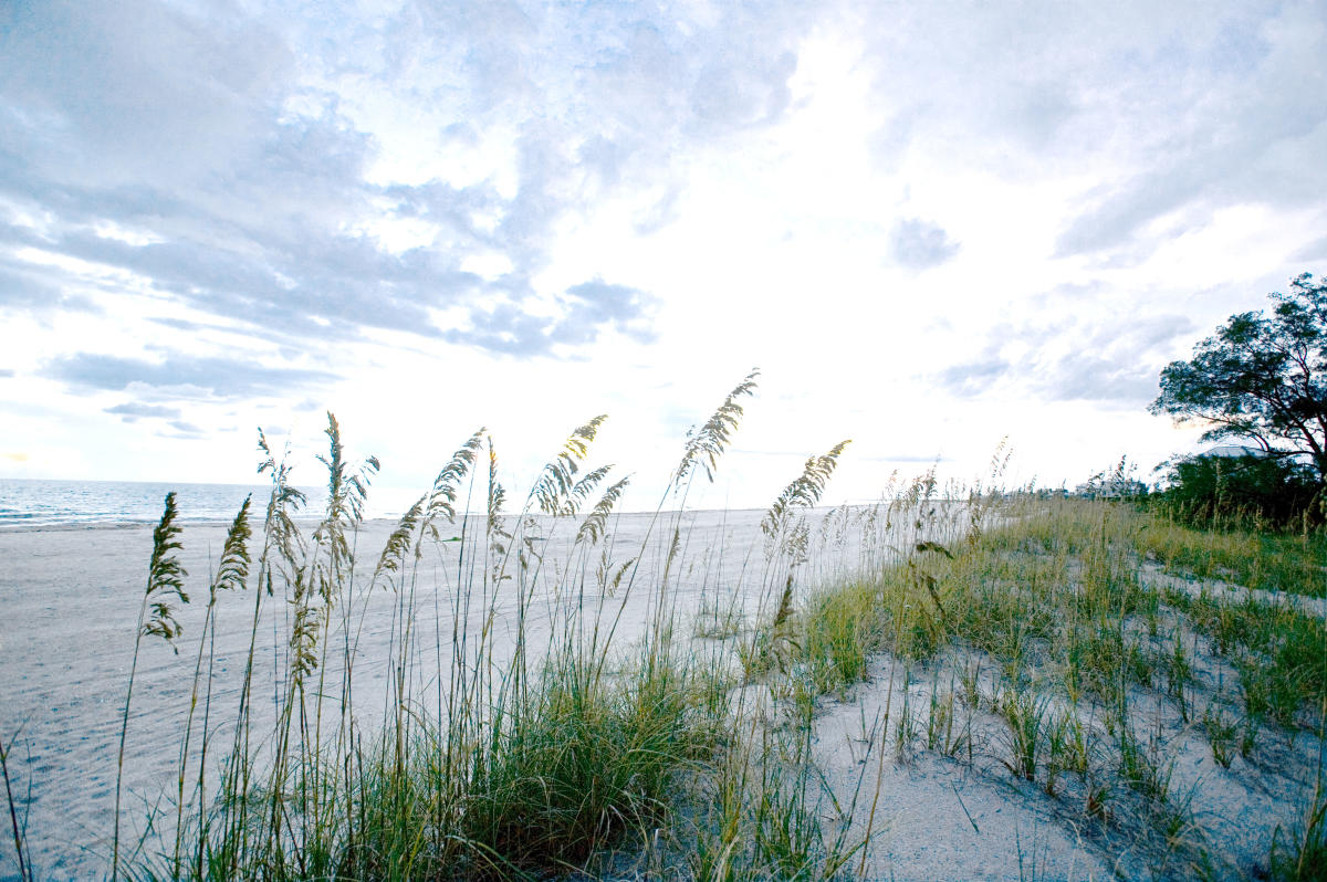 Island Hopping | Palm Island, Little Gasparilla Island, FL, image size:1200x798