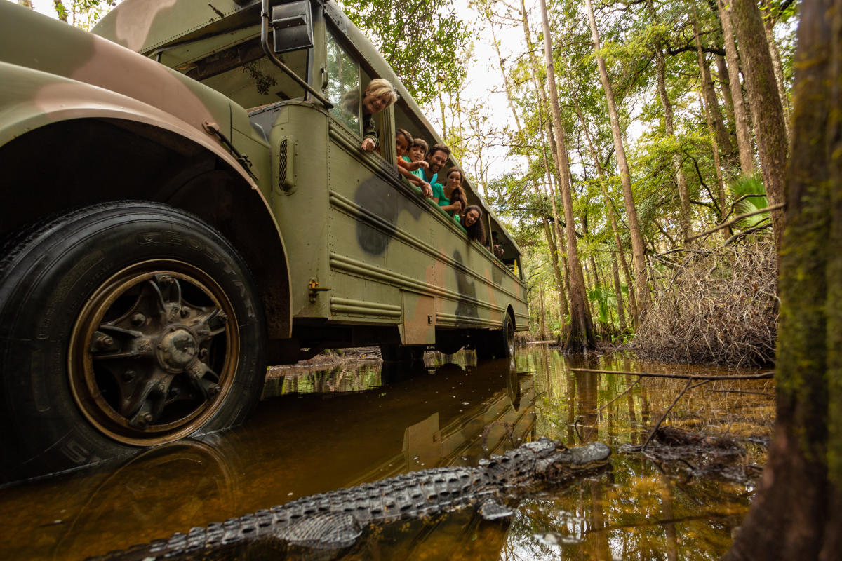 Things to Do - Attractions - Punta Gorda & Englewood Beach
