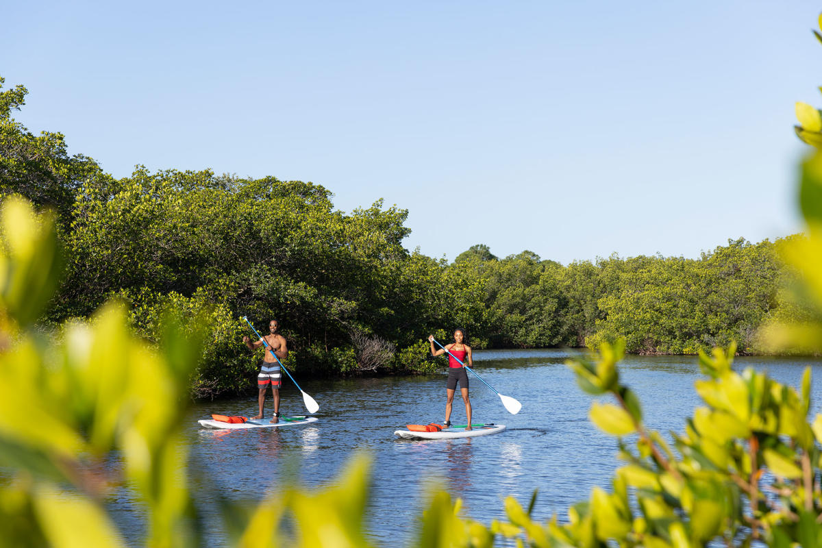 Three Days of Adventure in Englewood, Florida