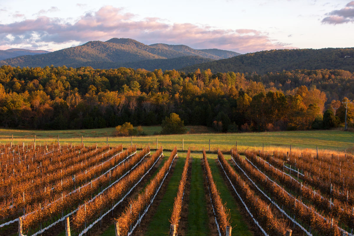 Wineries Wines