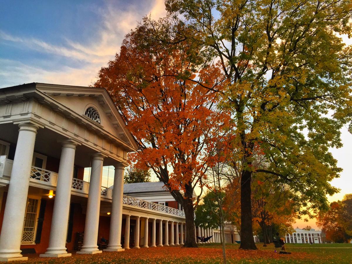 Fall Foliage Report November 9, 2016