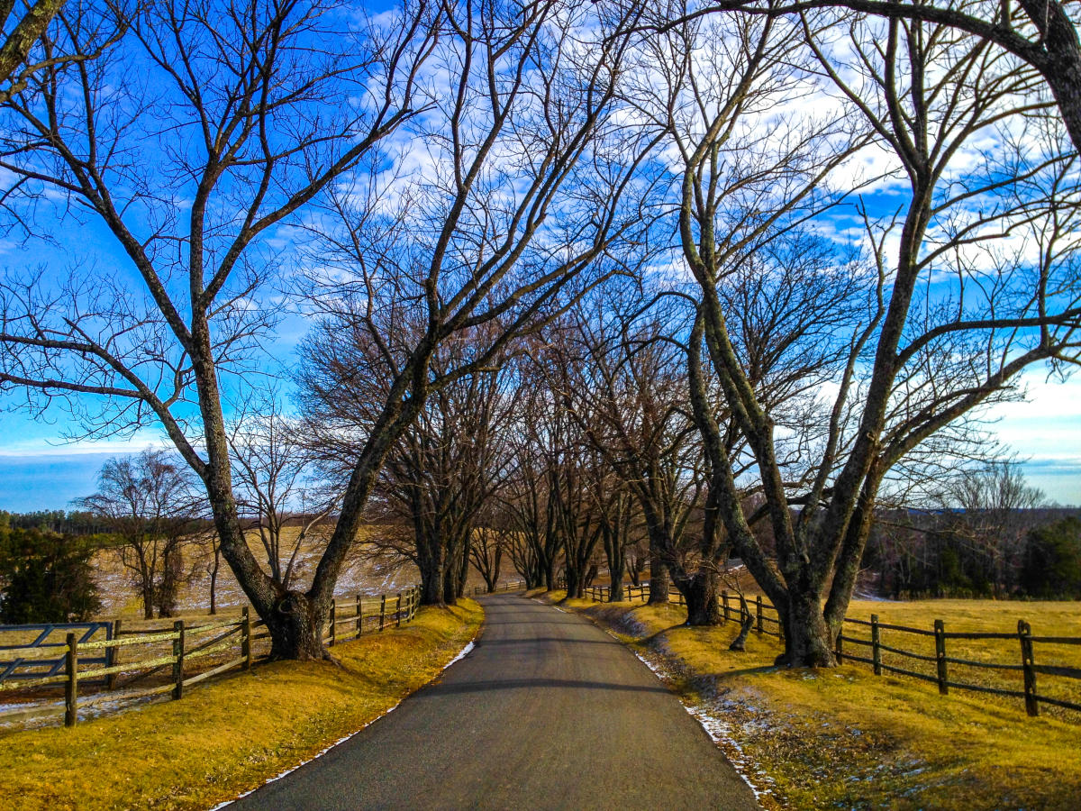 Cabins & Cottages | Visit Charlottesville
