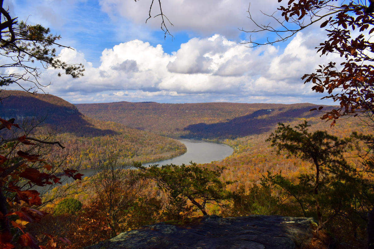 Fall Festivals and Events Chattanooga