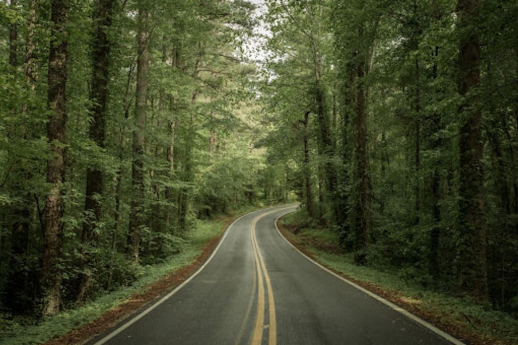 Scenic Summer Drives in Chattanooga