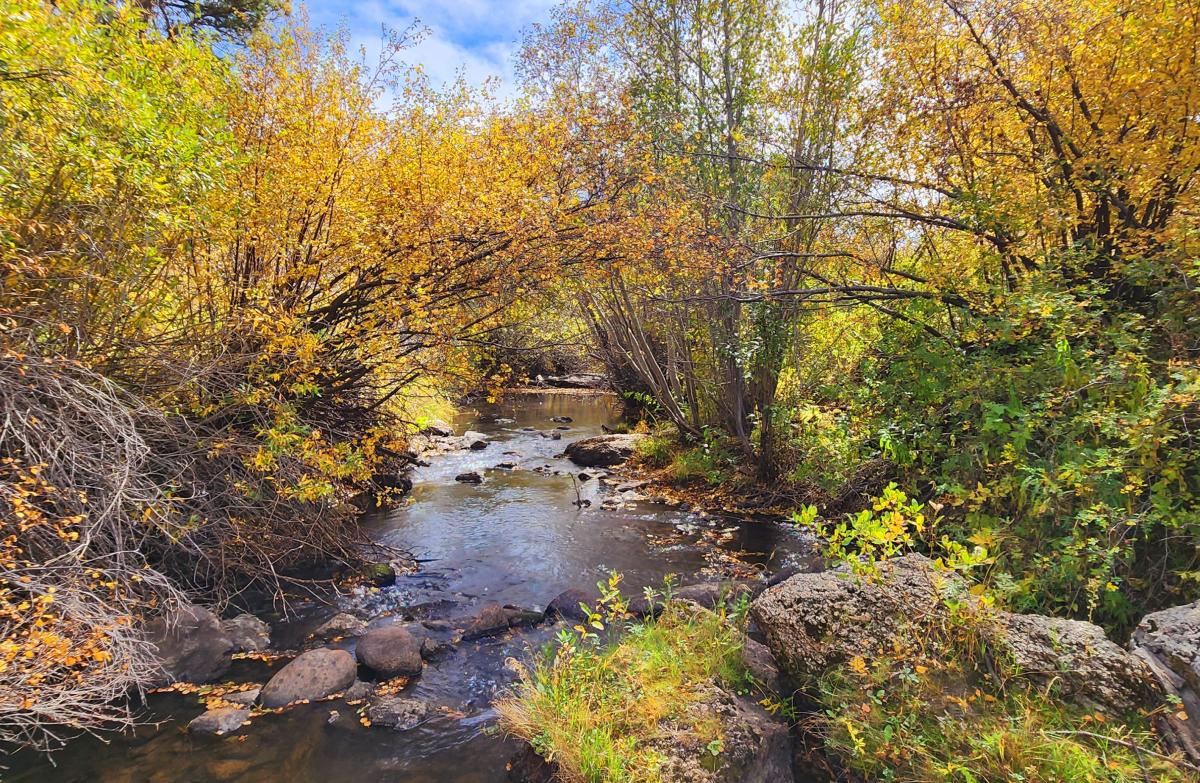 Complete Guide for Hiking in Curt Gowdy State Park Visit Cheyenne