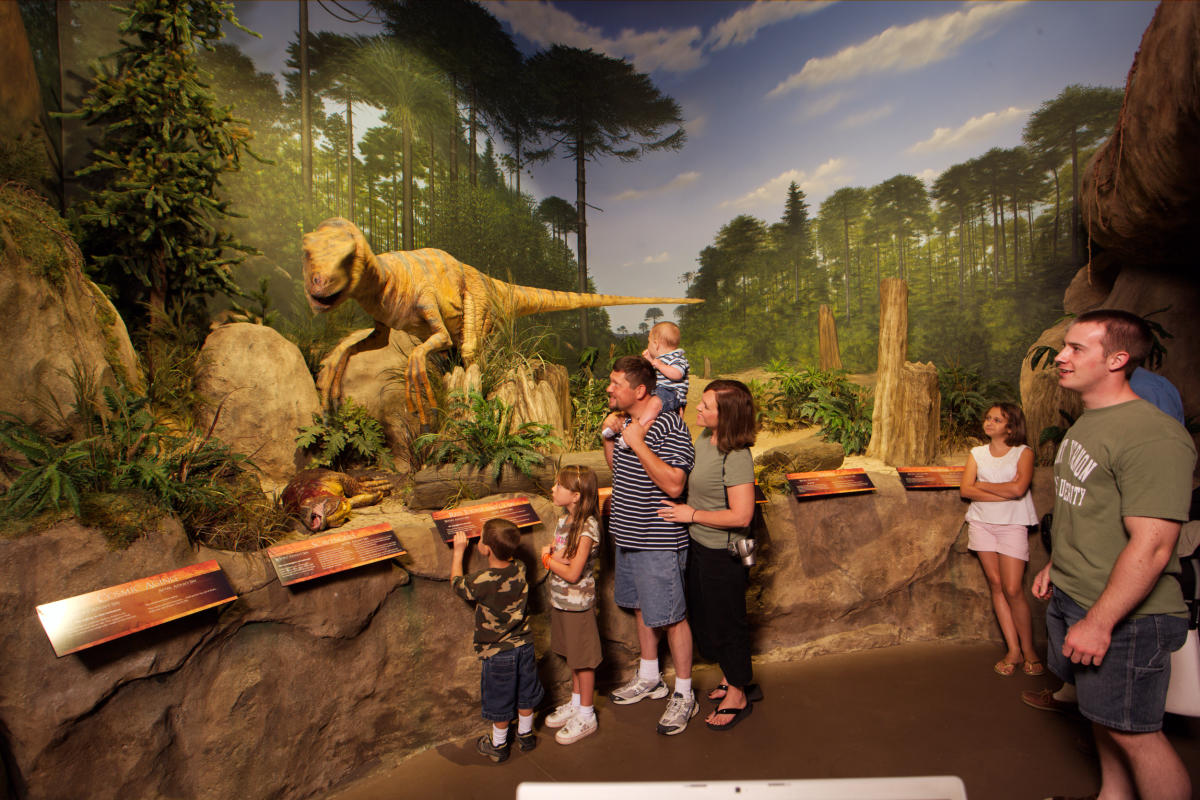 creation museum how long to tour