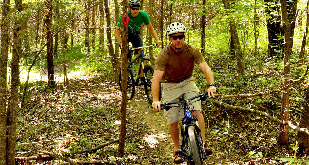 clarence mountain bike park